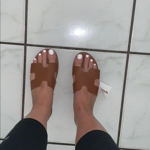 NEW Steve madden brown sandals